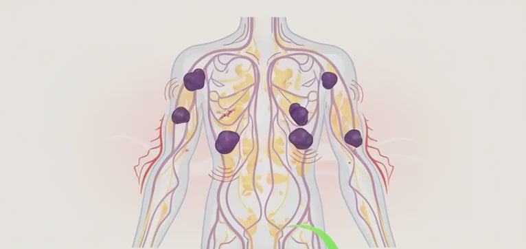 Lymphatic system visual